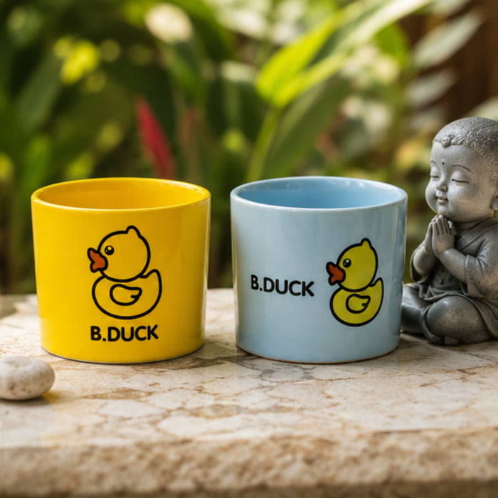 Ceramic Cute Ducks Print Pot For Garden Décor & Home décor -02