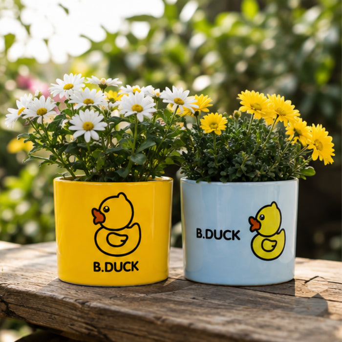 Ceramic Cute Ducks Print Pot For Garden Décor & Home décor -02