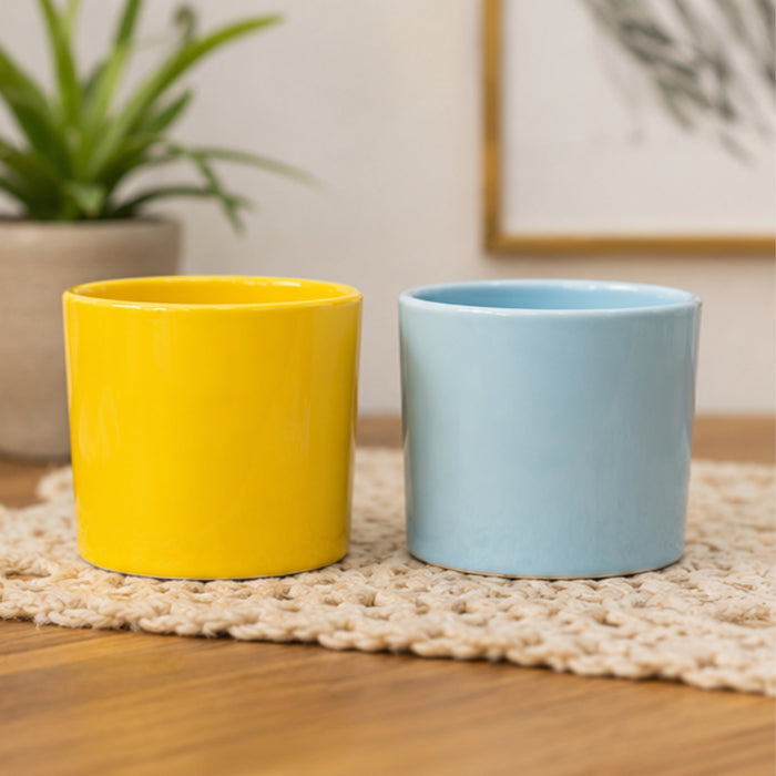 Ceramic Cute Ducks Print Pot For Garden Décor & Home décor -02