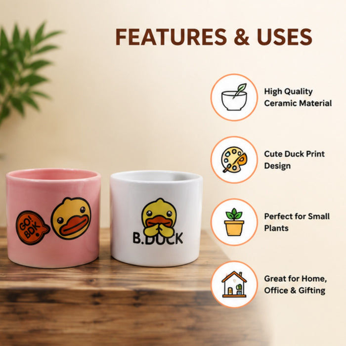 Ceramic Cute Ducks Print Pot For Garden Décor & Home décor -01