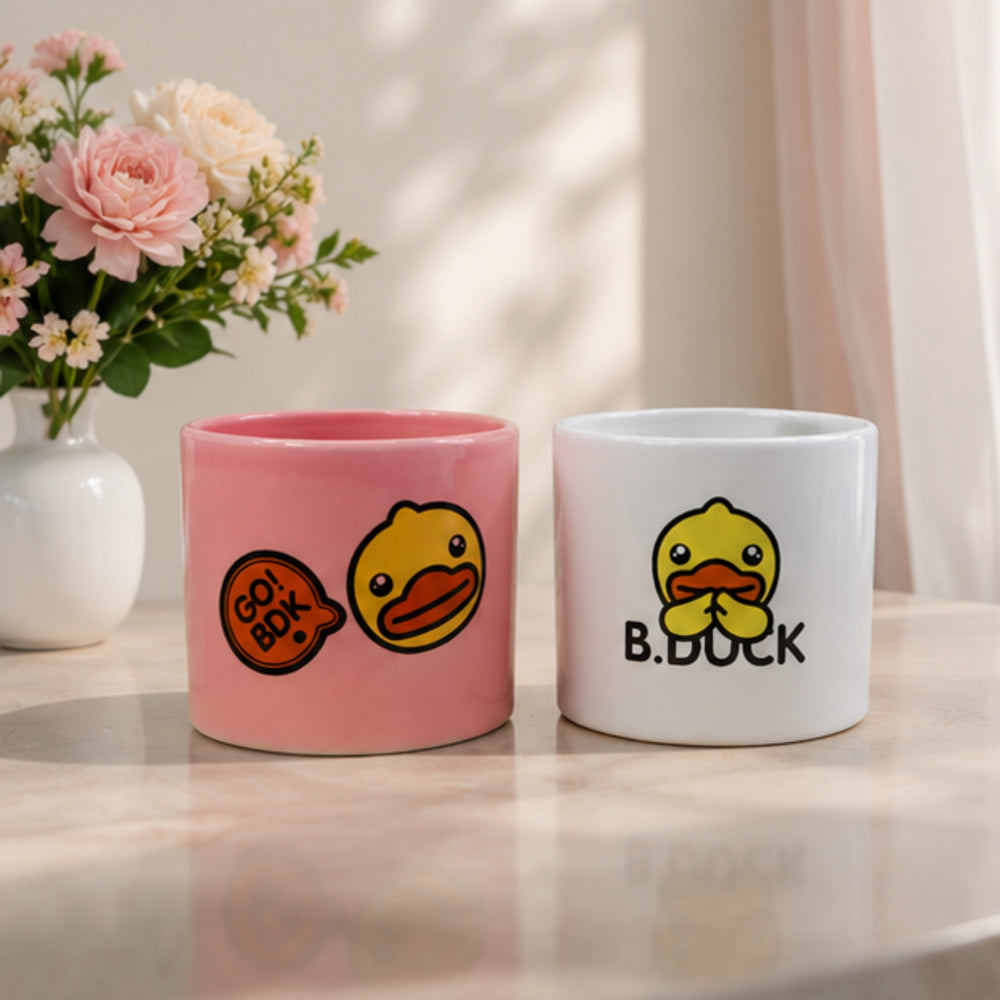 Ceramic Cute Ducks Print Pot For Garden Décor & Home décor -01