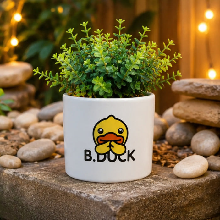 Ceramic Cute Ducks Print Pot For Garden Décor & Home décor -01