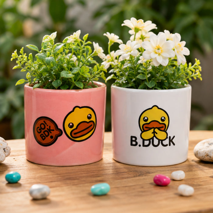 Ceramic Cute Ducks Print Pot For Garden Décor & Home décor -01