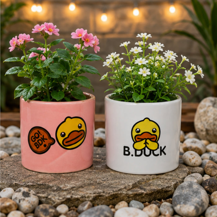 Ceramic Cute Ducks Print Pot For Garden Décor & Home décor -01