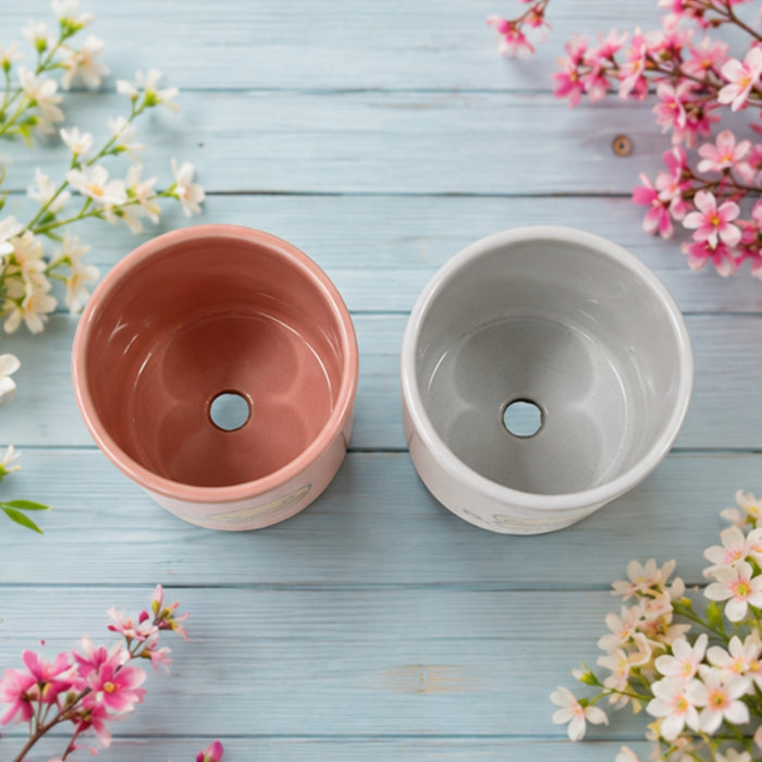 Ceramic Cute Ducks Print Pot For Garden Décor & Home décor -01