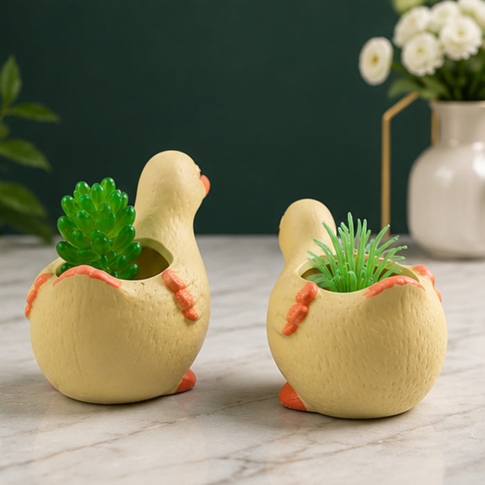 Cute Duck Shaped Ceramic Succulent Planters/Flower Pots (Set of 2)