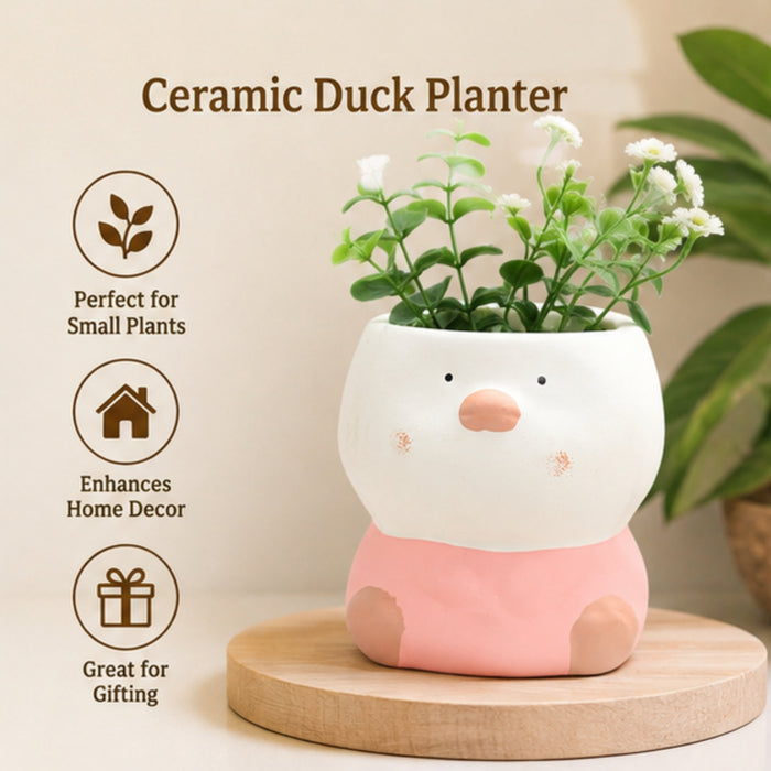 Imported Ceramic Duck Planter (Peach) |