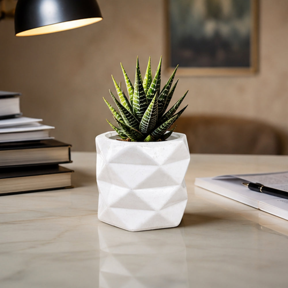 Geometric Faceted Planter – Modern White Ceramic Flower Pot for Indoor Plants, Desk, Balcony, and Home Decor (Plants Are Not Included)