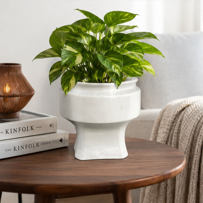 White Ceramic Planter Pot for Indoor Plants and Home Decor