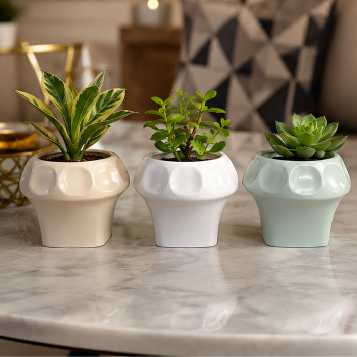 Modern Geometric Textured Planter Pots for Indoor Plants - Set of 3 (Plants Are Not Included)