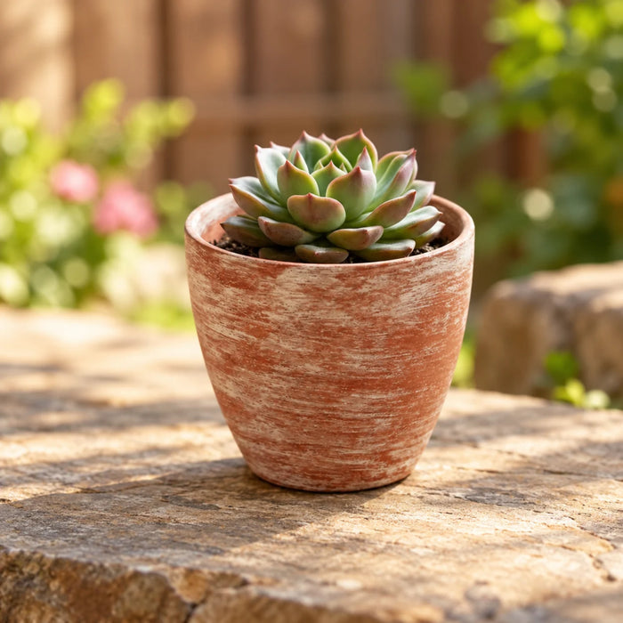 Hand-Finished Distressed Terracotta Planter – 5-Inch Rustic Weathered Clay Pot for Succulents, Herbs, and Indoor Plants