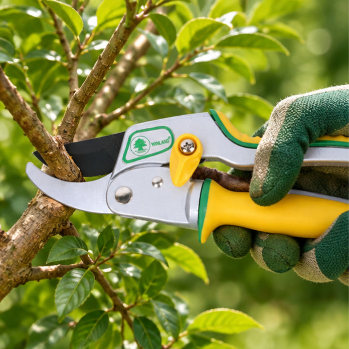 Winland Gardening Pruning Shears – Hand Pruners with Yellow and Green Ergonomic Handles