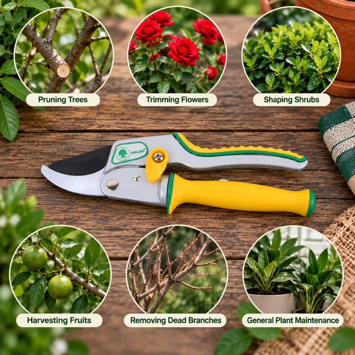 Winland Gardening Pruning Shears – Hand Pruners with Yellow and Green Ergonomic Handles
