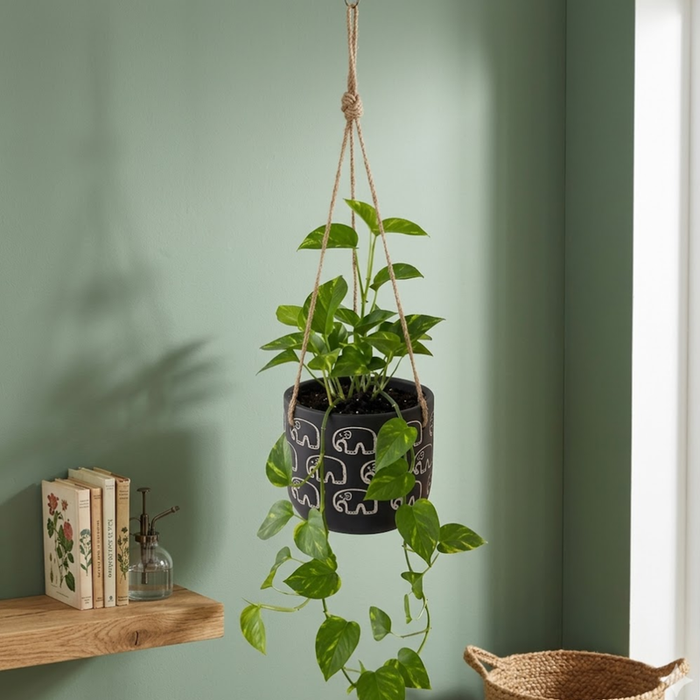 Handpainted Terracotta Planter with print design 