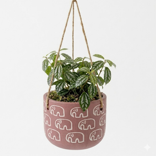 Handpainted Terracotta Planter with print design 