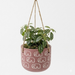 Handpainted Terracotta Planter with print design 
