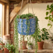 Handpainted Terracotta Planter with print design 