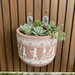 Handpainted Terracotta Planter with print design 