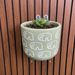 Handpainted Terracotta Planter with print design 