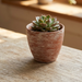 Hand-Finished Distressed Terracotta Planter – 5-Inch 