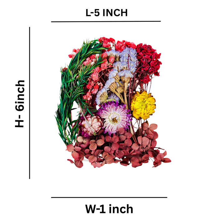Wonderland Dried Flowers for Resin, 6 Packets  Natural Flowers and Leaves Compressed,DIY Pressed Flowers for  Jewelry, Candles, Soap, Nail Production