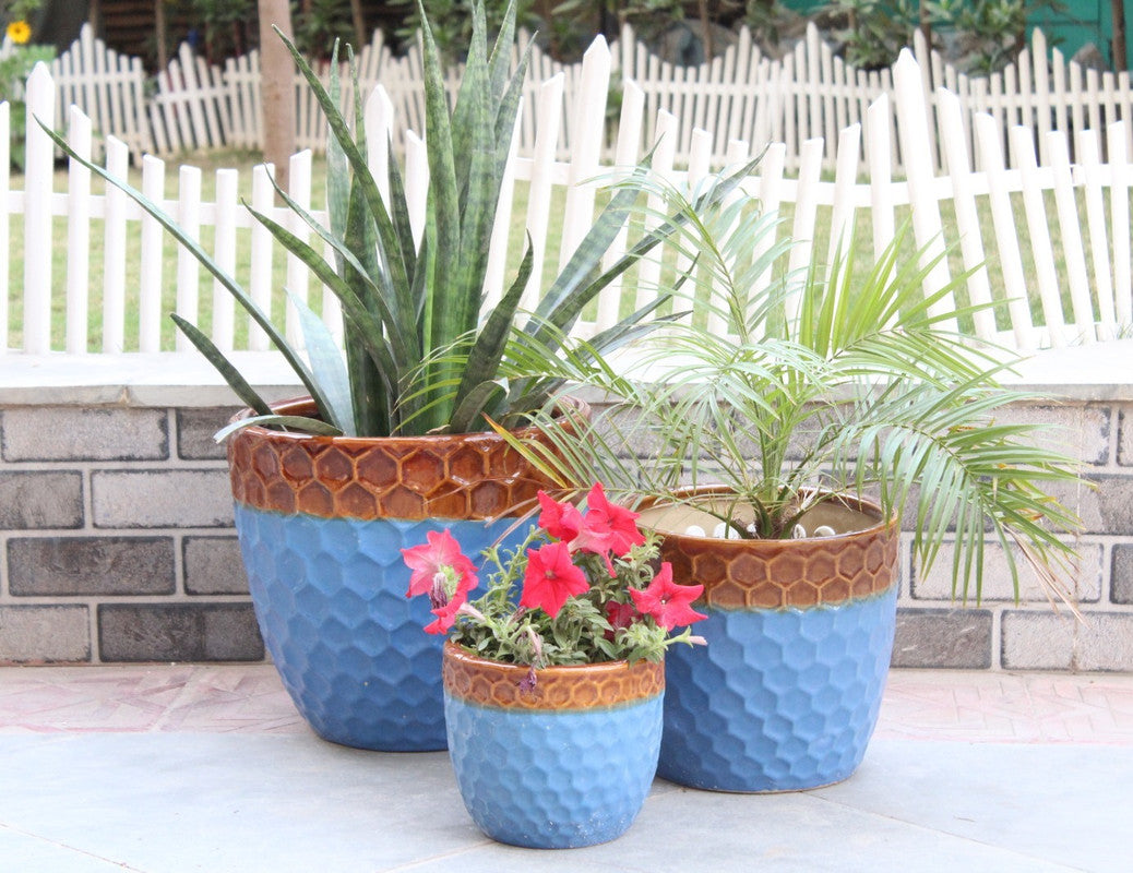 Buy Ceramic Pots Imported Online Set Of 3 — Wonderland Garden Arts And