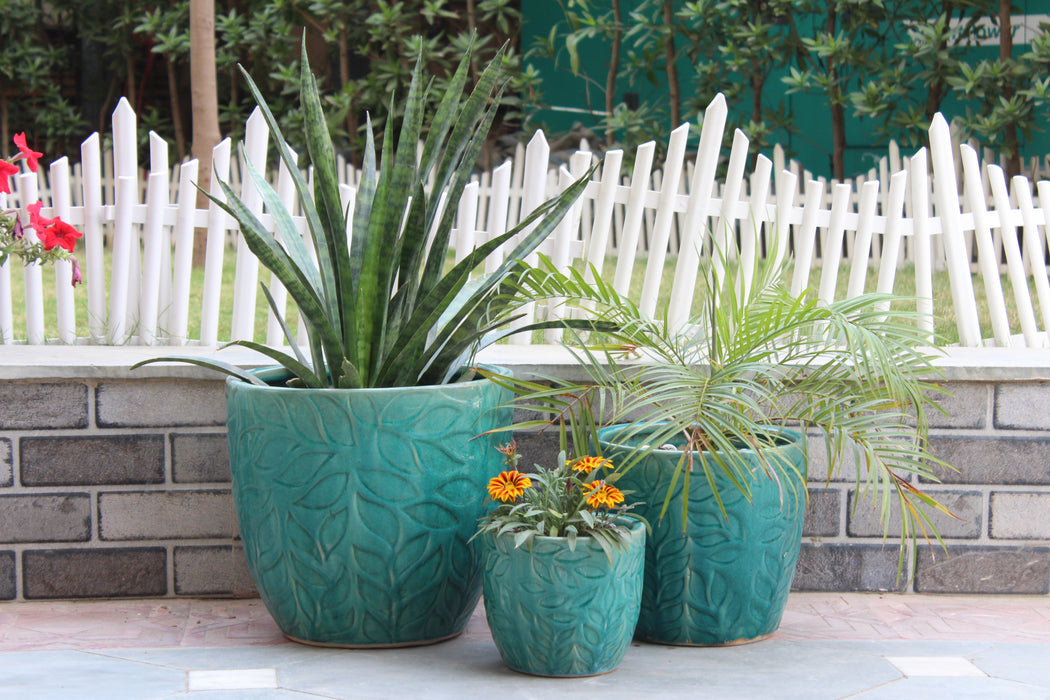 Wonderland Set of 3 seagreen imbossed Imported ceramic pots for exterior/ Outdoor