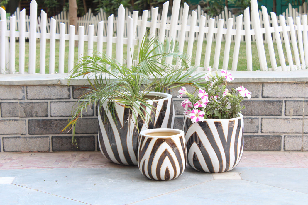 Wonderland Set of 3 Zebra Imported ceramic pots for exterior/ Outdoor