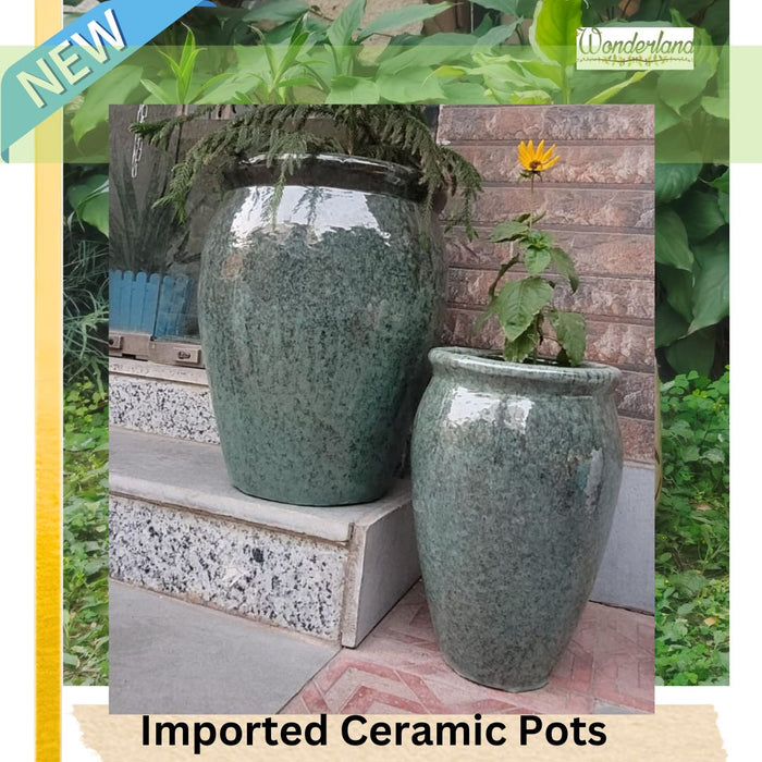 Wonderland Set of 3 grey Imported ceramic pots for exterior/ Outdoor
