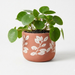 Handpainted Terracotta Planter with print design 