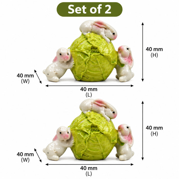 Imported Miniatures (2 pcs) Rabbit on Cabbage|Miniature Figurine| Shelf Décor | Resin Home décor | Gift Items
