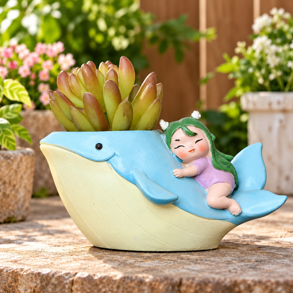 Whale Succulent Pot for Home Decoration