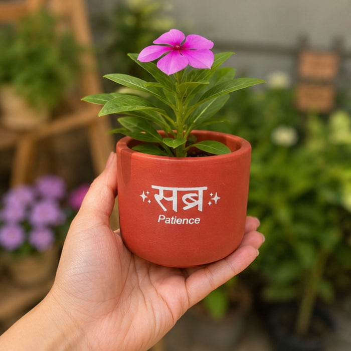 Handcrafted Terracotta Planter Pot with "Sabr" (Patience),