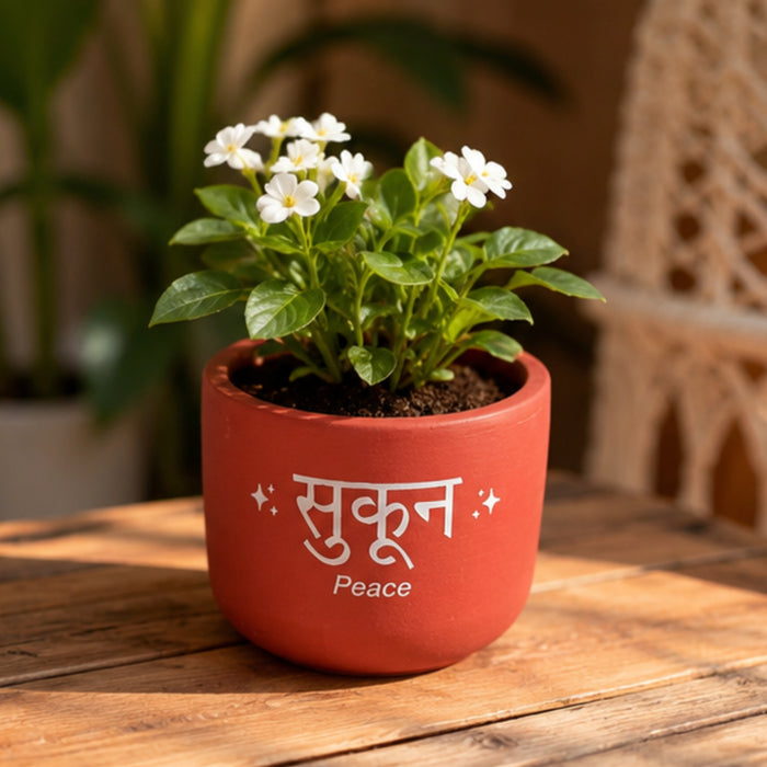 Handmade Terracotta Planter Pot with "Sukoon/Peace" , Pink