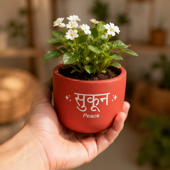 Handmade Terracotta Planter Pot with "Sukoon/Peace" , Pink