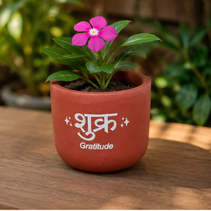 Handmade Terracotta Planter Pot with "Shukr" (Gratitude) –
