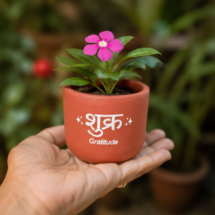Handmade Terracotta Planter Pot with "Shukr" (Gratitude) –