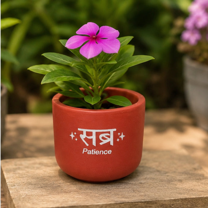 Handcrafted Terracotta Planter Pot with "Sabr" (Patience),