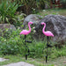 "A set of two pink plastic flamingo solar garden lights with black metal stakes standing in a lush green garden with rocks and white flowers."