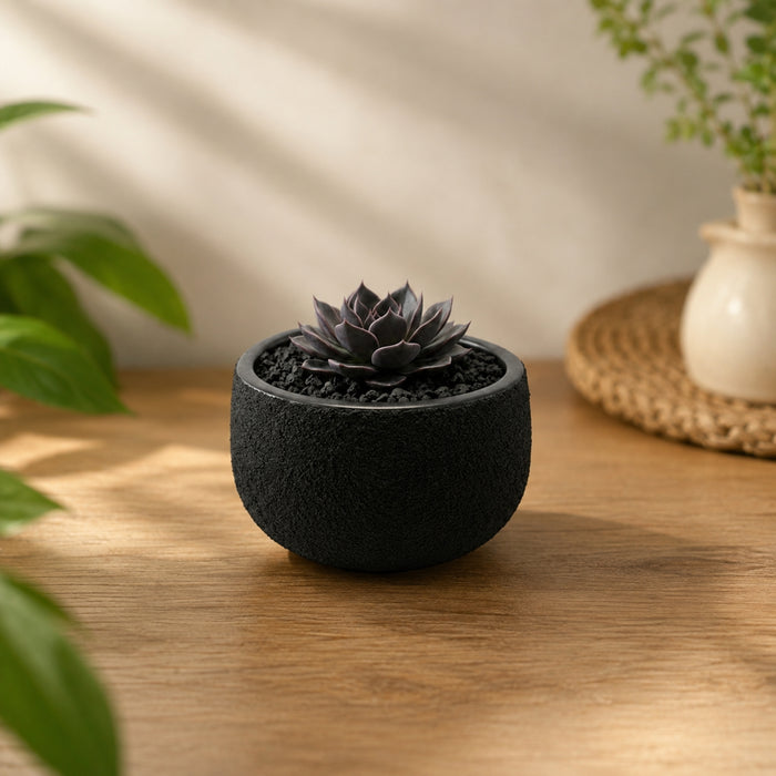 Matte Black Textured Terracotta Planter Pot – Modern Round Succulent & Cactus Pot