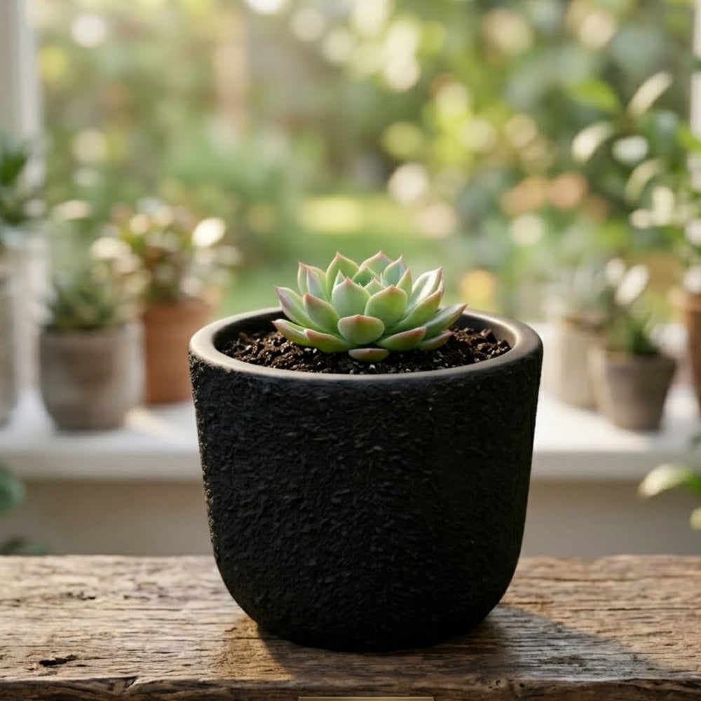 Textured Matte Black Terracotta Planter Pot for Indoor Plants