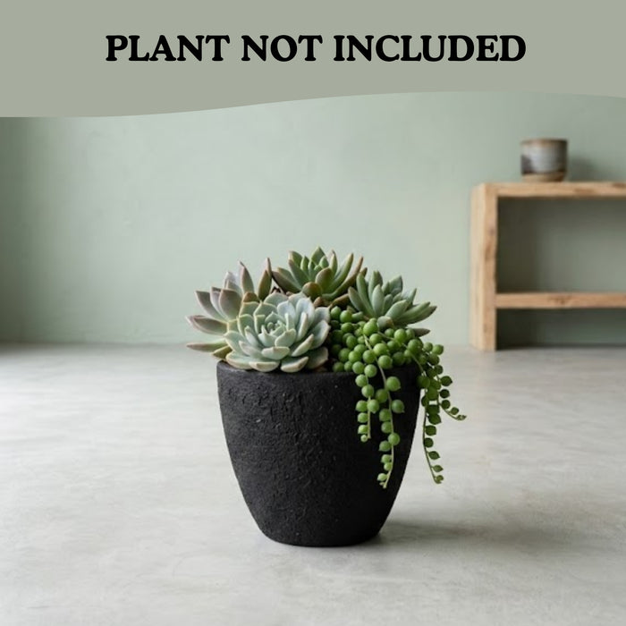 Handcrafted Textured Terracotta Plant Pot – Modern Black