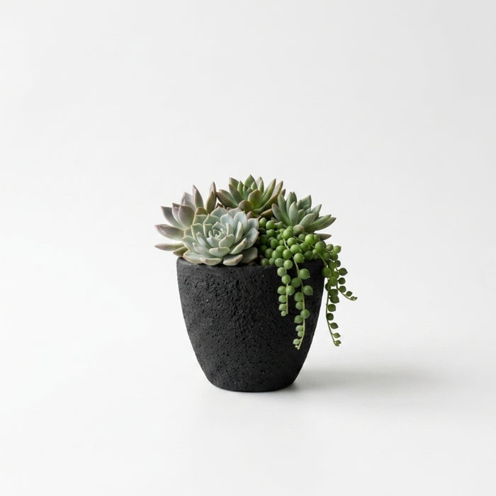 Handcrafted Textured Terracotta Plant Pot – Modern Black