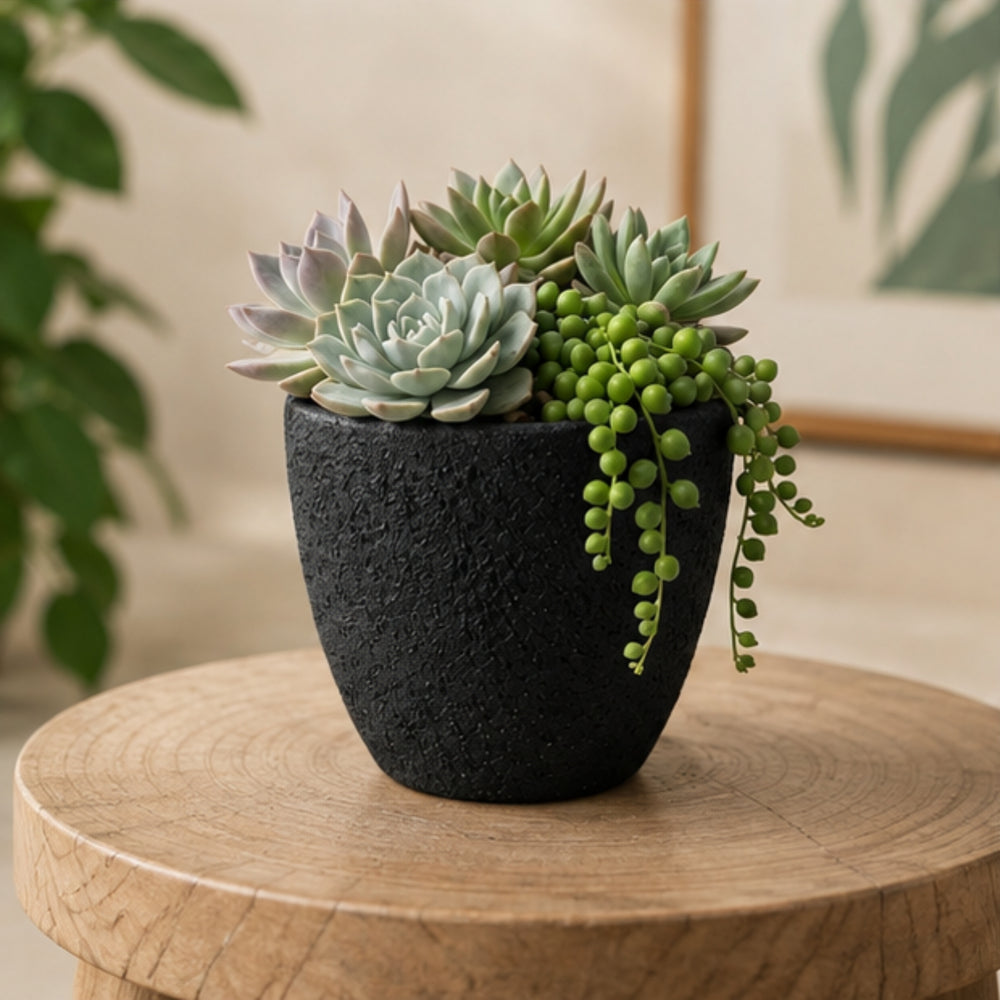 Handcrafted Textured Terracotta Plant Pot – Modern Black
