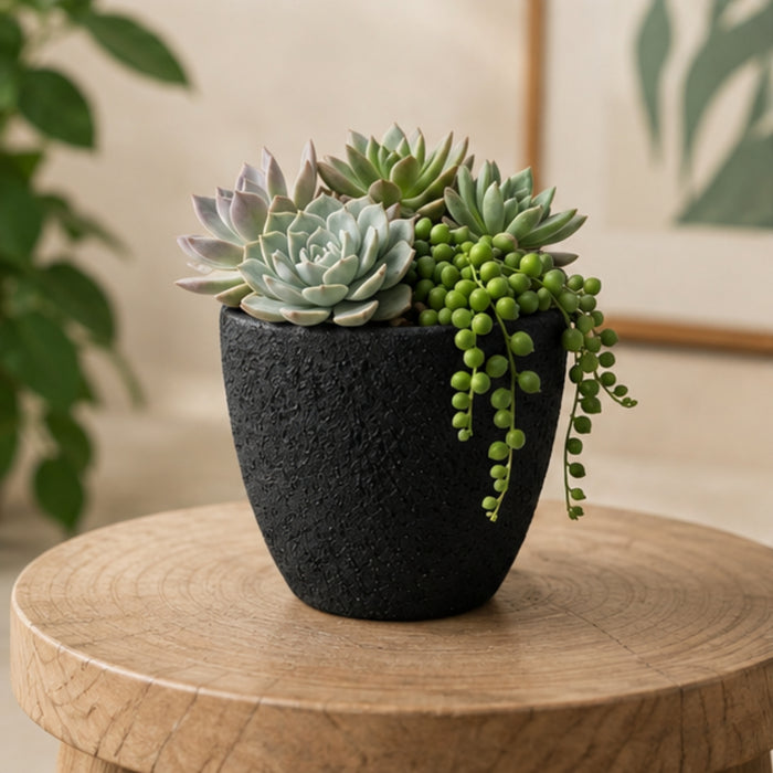 Handcrafted Textured Terracotta Plant Pot – Modern Black
