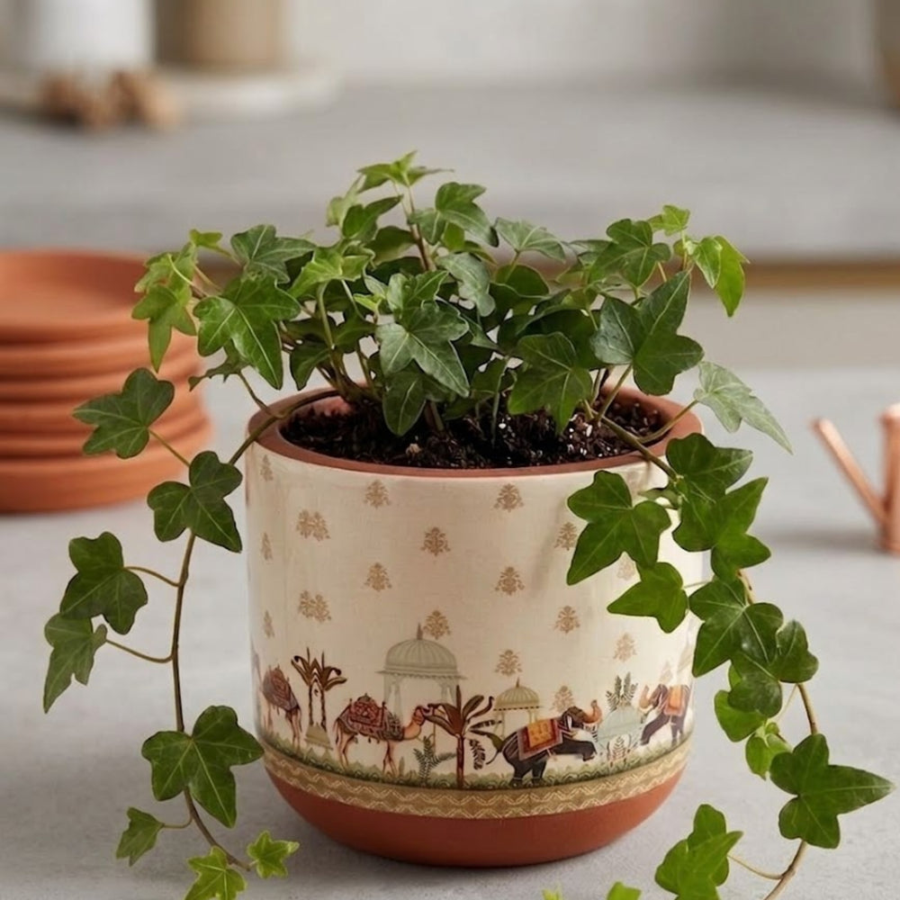 Handpainted Terracotta Plant Pot –
