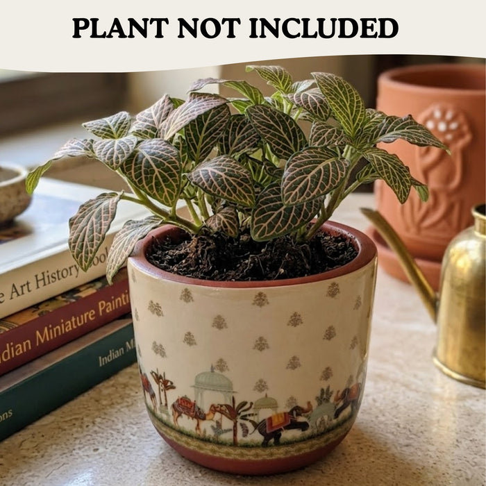Handpainted Terracotta Plant Pot –