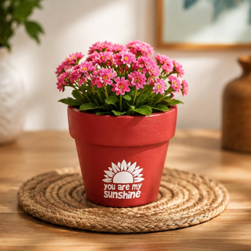 Handpainted Terracotta Flower Pot - "You Are My Sunshine"