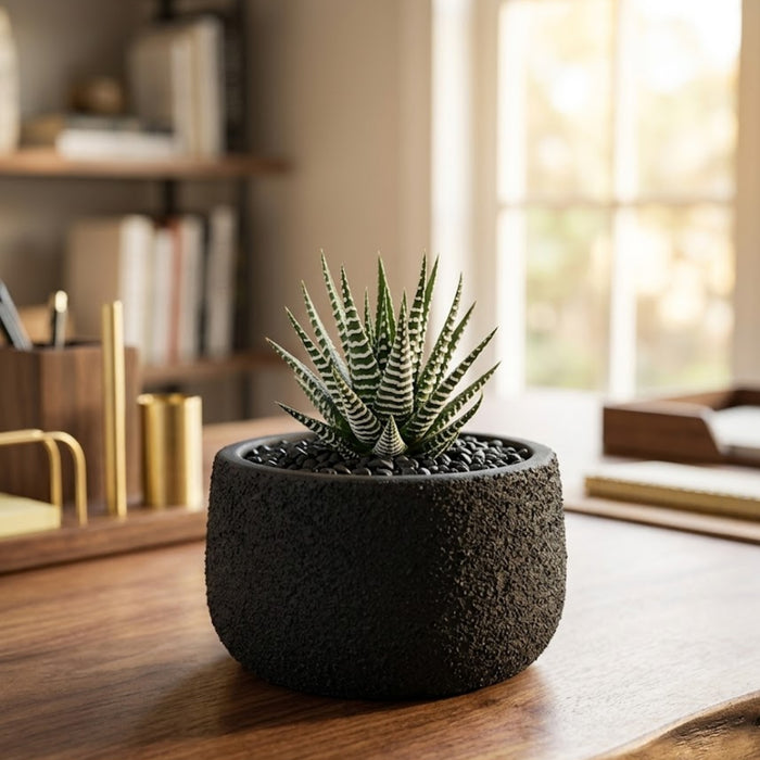 Matte Black Textured Terracotta Planter Pot – Modern Round Succulent & Cactus Pot