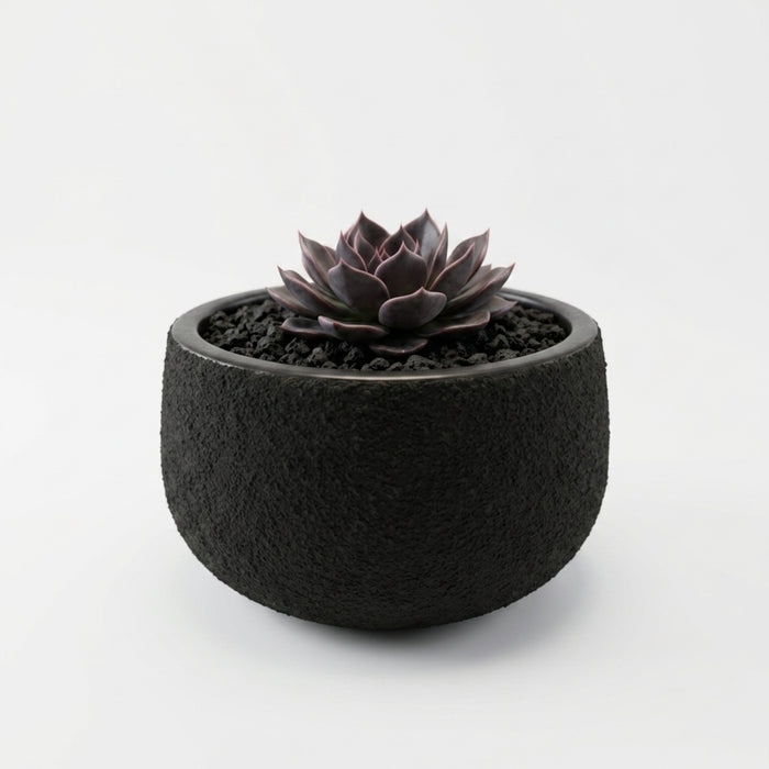 Matte Black Textured Terracotta Planter Pot – Modern Round Succulent & Cactus Pot